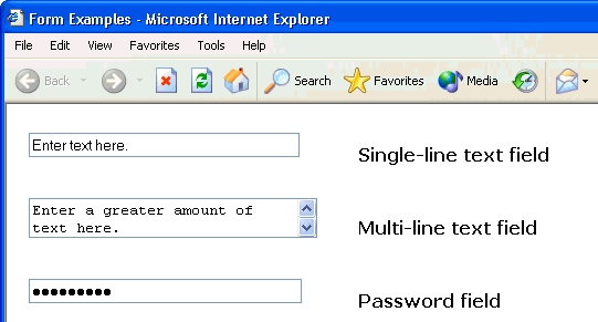 Single line, muliline, and password entries in text fields