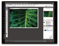 Sample video tutorial